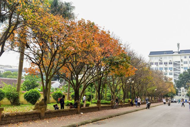 mô tả hệ thống